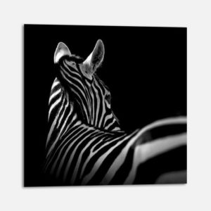 Zebre